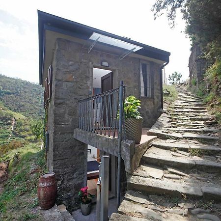 Fiesse Cottage Manarola Eksteriør billede