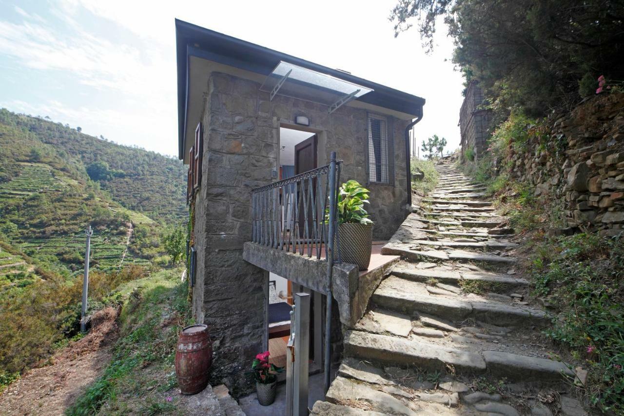 Fiesse Cottage Manarola Eksteriør billede